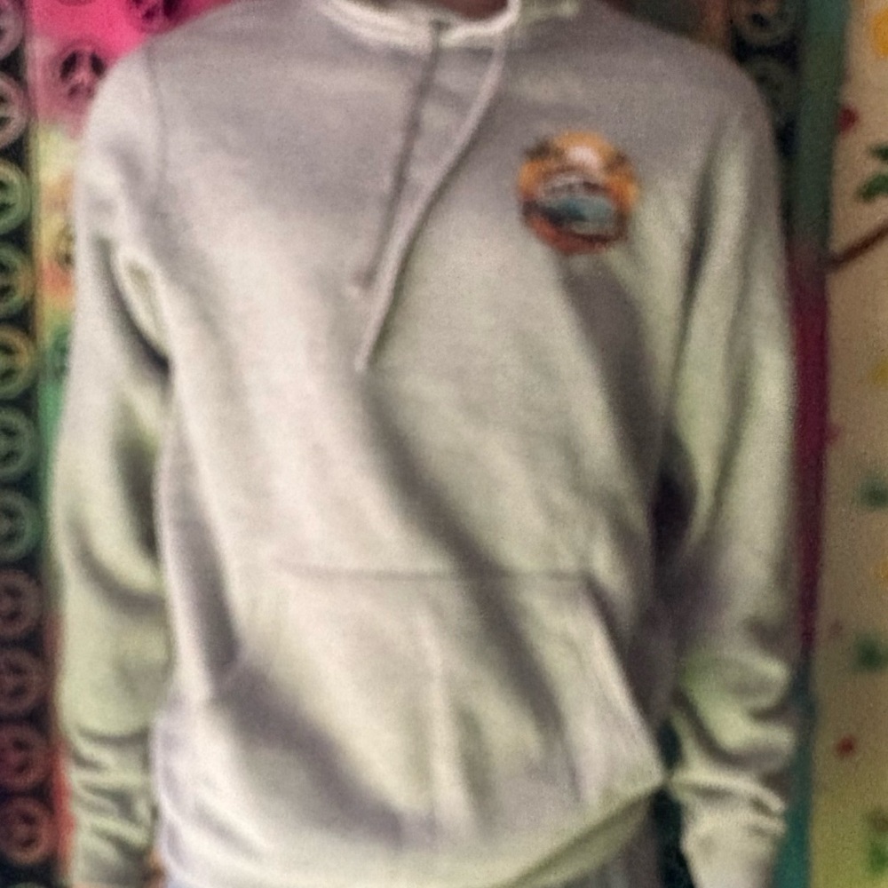 Gray  unisex hoodie